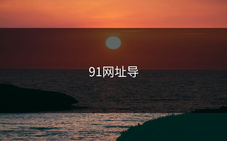 91网址导