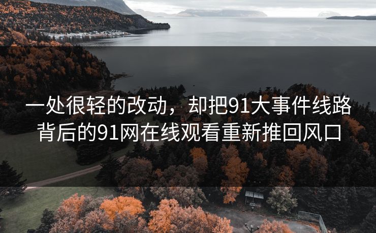 一处很轻的改动，却把91大事件线路背后的91网在线观看重新推回风口