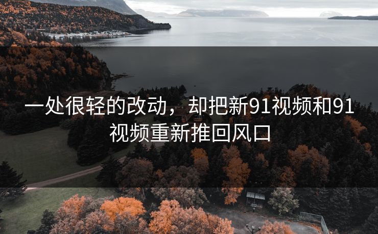 一处很轻的改动，却把新91视频和91视频重新推回风口