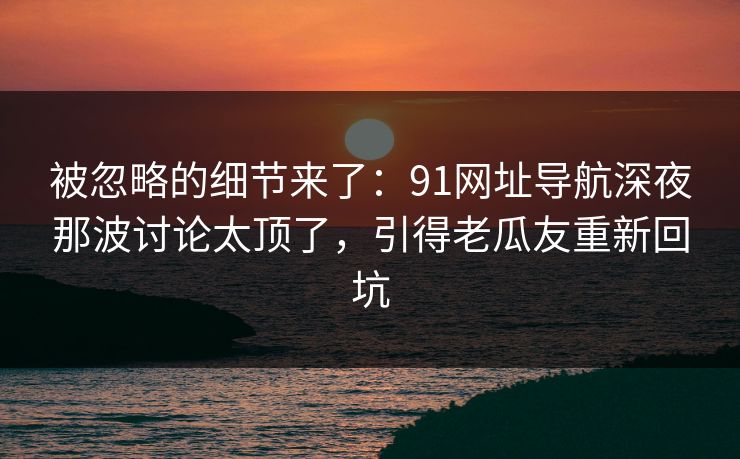 被忽略的细节来了：91网址导航深夜那波讨论太顶了，引得老瓜友重新回坑