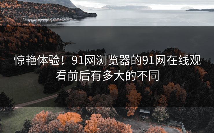 惊艳体验！91网浏览器的91网在线观看前后有多大的不同