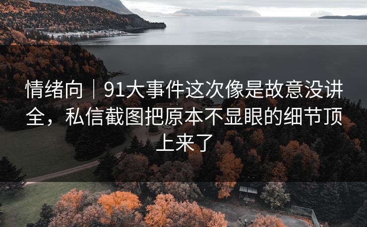 情绪向｜91大事件这次像是故意没讲全，私信截图把原本不显眼的细节顶上来了