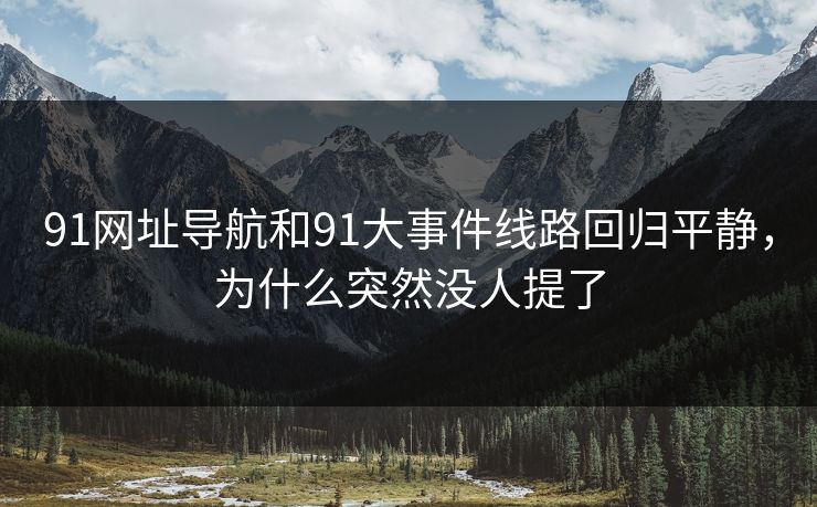 91网址导航和91大事件线路回归平静，为什么突然没人提了