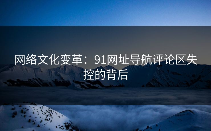 网络文化变革：91网址导航评论区失控的背后